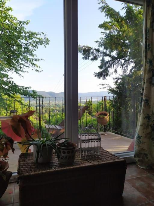 Kosbor Kucko Holiday home Kismaros